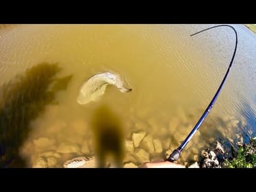 I was AMAZED I finally tricked this GIANT BASS!!!