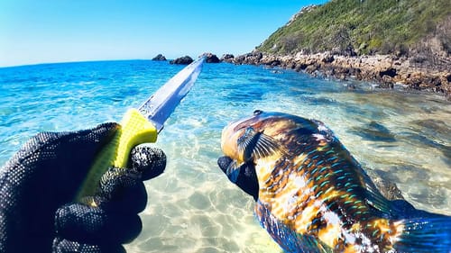 Alone Hunting Fish For Food - SOLO CAMPING Uninhabited Islands - Catch And Cook