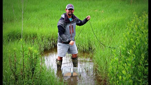 Trapping Crawfish To Feed Our 2 Pet Bass!!