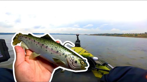 Fishing with Big Swimbaits