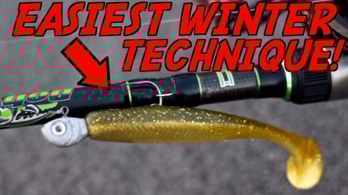 The EASIEST Technique to Catch Winter Bass!