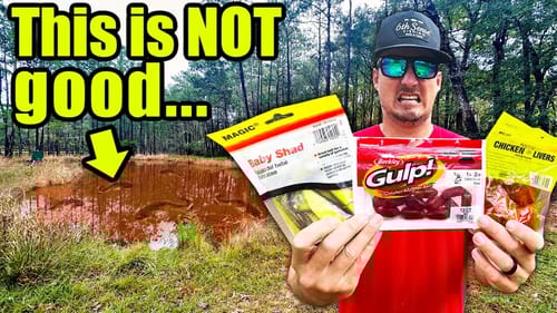 BACKYARD POND Catfishing Challenge goes Incredibly Wrong...(Should I Drain it??)