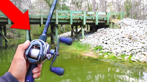 This TINY Ditch is LOADED w/ GIANT Bass!