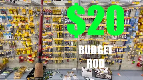 IS THIS THE BEST $20 BUDGET ROD AT WALMART???