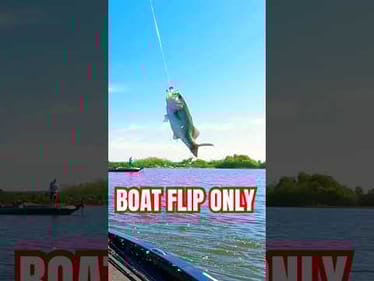 Harris Chain Chatterbait Fishing MLF Toyota Series #shorts #bassfishing #boatfliponly