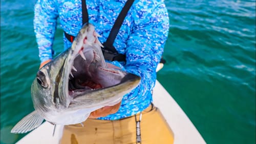 This Fish Could RUIN Your Life, But Not The Way You'd Assume
