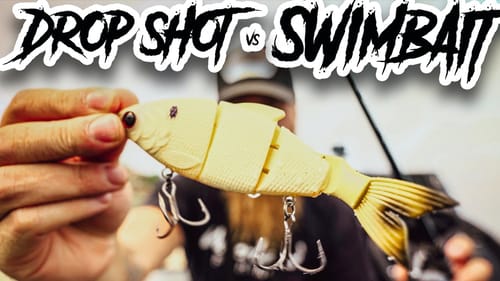 My Mechanic Called With Bad News...  Dropshot vs Swimbait With The Glitch and Trace