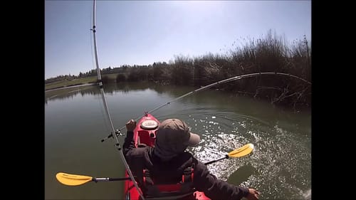 Spring Bass Fishing San Joaquin River