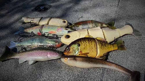 My System for Big Swimbaits in the Spring