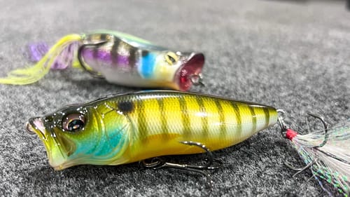 Fishing The Dog Days Of Summer! (Frog And Topwater Tips)