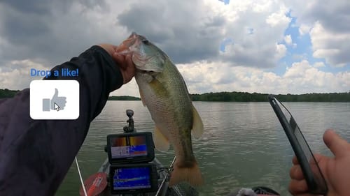 Redemption Kayak Tournament Day 1 - Percy Priest Kayak Bass Fishing Pro/Trail Series