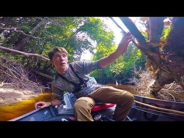 The Amazon Experience