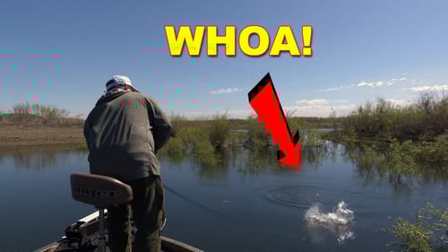 4 Ways To Fish The Tokyo Rig for Bass Fishing | How To | Bass Fishing
