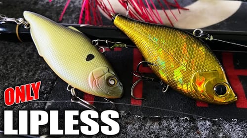 The Most POWERFUL Lure in PRESPAWN Fishing - Lipless CRANKBAITS