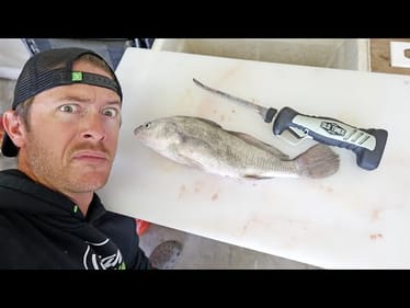 STOP Wasting Your Time on Wrong Fish! Freshwater Drum vs Catfish
