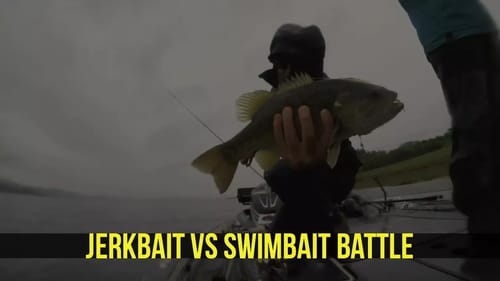 Jerkbait vs Swimbait Battle Part 1