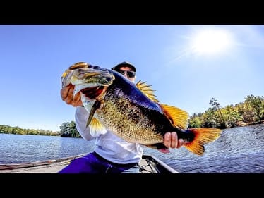 LIVE Bass Fishing on a SMALL LAKE!! || Giant Caught!!!