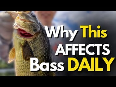 3 Types of Reservoir Current and the HUGE Impact on Bass