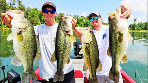 Catching MONSTER Bass on WACKY RIGS! (Lake Guntersville)