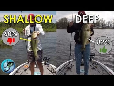 Shallow or Deep Fishing: Which is Better? | Statistics, Stories and More!