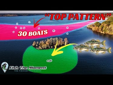 Avoid The Crowds – Fish These Overlooked Areas That Are Full of Bass