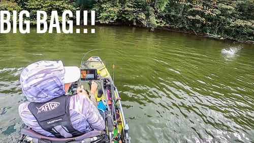 Pickwick Tourney (LEADING DAY 1 with BIG bag!!)