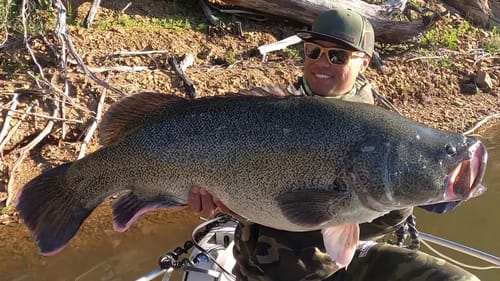 Never Be Afraid To Experiment With Murray Cod - #BigCodDreams Episode 20