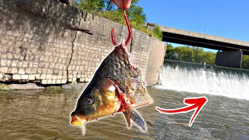 Unexpected PERSONAL BEST Catch Beneath GIANT Waterfall Spillway!!!
