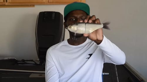 My Top 5 Summer Bass Fishing Baits!
