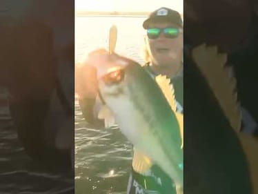 5 pounder gets Laker going