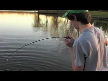 Double Header on One rod!!! (Snaggin Carp) (Special Thanks to Mom)