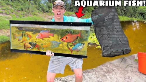 TRAPPING AQUARIUM FISH For My FISH TANK!