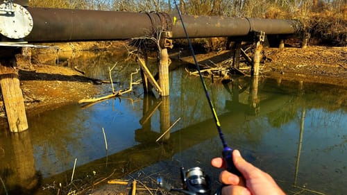 Bank Fishing Bluegill and Crappie