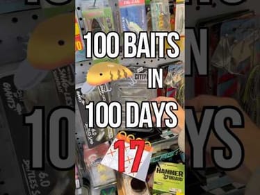 100 Baits In 100 Days - Day 17: Citizen Micro Swimbait from Working Class Zero #fishing