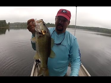 How to fish a Buzzbait Part 1 - Bass Fishing