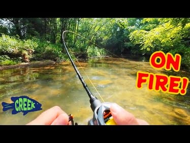 When That Creek Fishing Bite is on FIRE