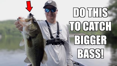 Jig Fishing Tips to Catch BIGGER Bass! (Bass fishing tips)