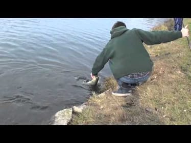 Fall Bass (6.48lber)