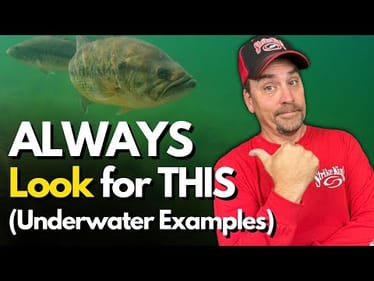 The #1 Tip I Know for Figuring Out Bass (Why They Use Certain Spots)