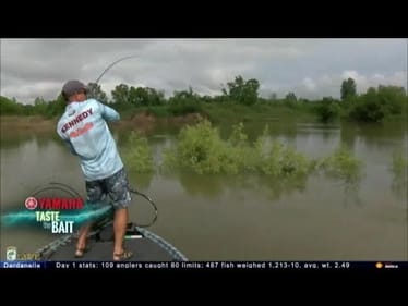 Taste the Bait: Dardanelle swim jigs and frogs