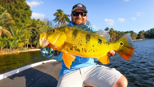 Urban Fishing In Backyards For GIANT Largemouth and Peacock Bass!