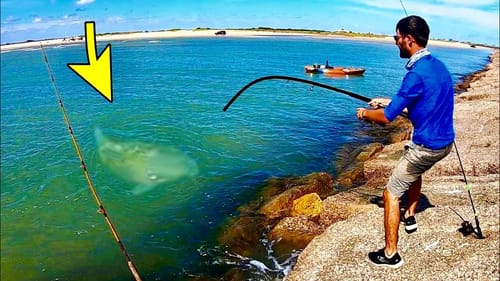 We FINALLY CAUGHT this BEACH MONSTER!! (INSANE)