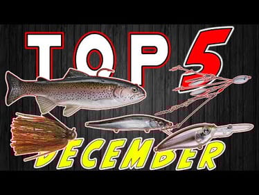 Top 5 Baits For December Bass Fishing!