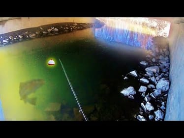 CREEK FISHING for MONSTER FISH with a BOBBER!! (New PB)