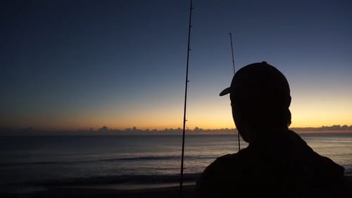 Surf Fishing