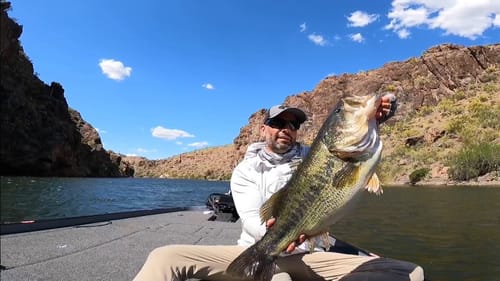 Desert Waters, Massive Catches!