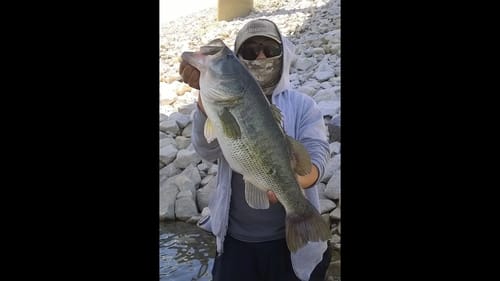 Bass Fishing Eastman Lake 2015