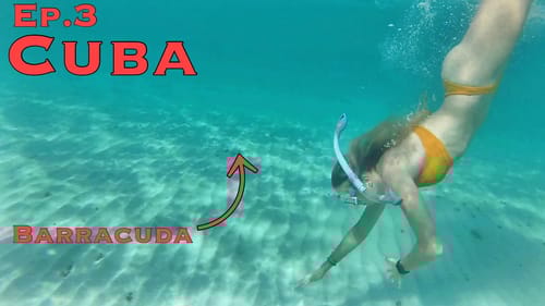 Fishing & Snorkelling from Rocks! (Ep.3)