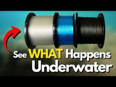 Which Fishing Line is MOST Invisible on the Surface? (Underwater Look)