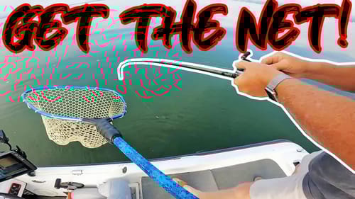 SUMMER BASS FISHING TOURNAMENT! (Lake Guntersville)